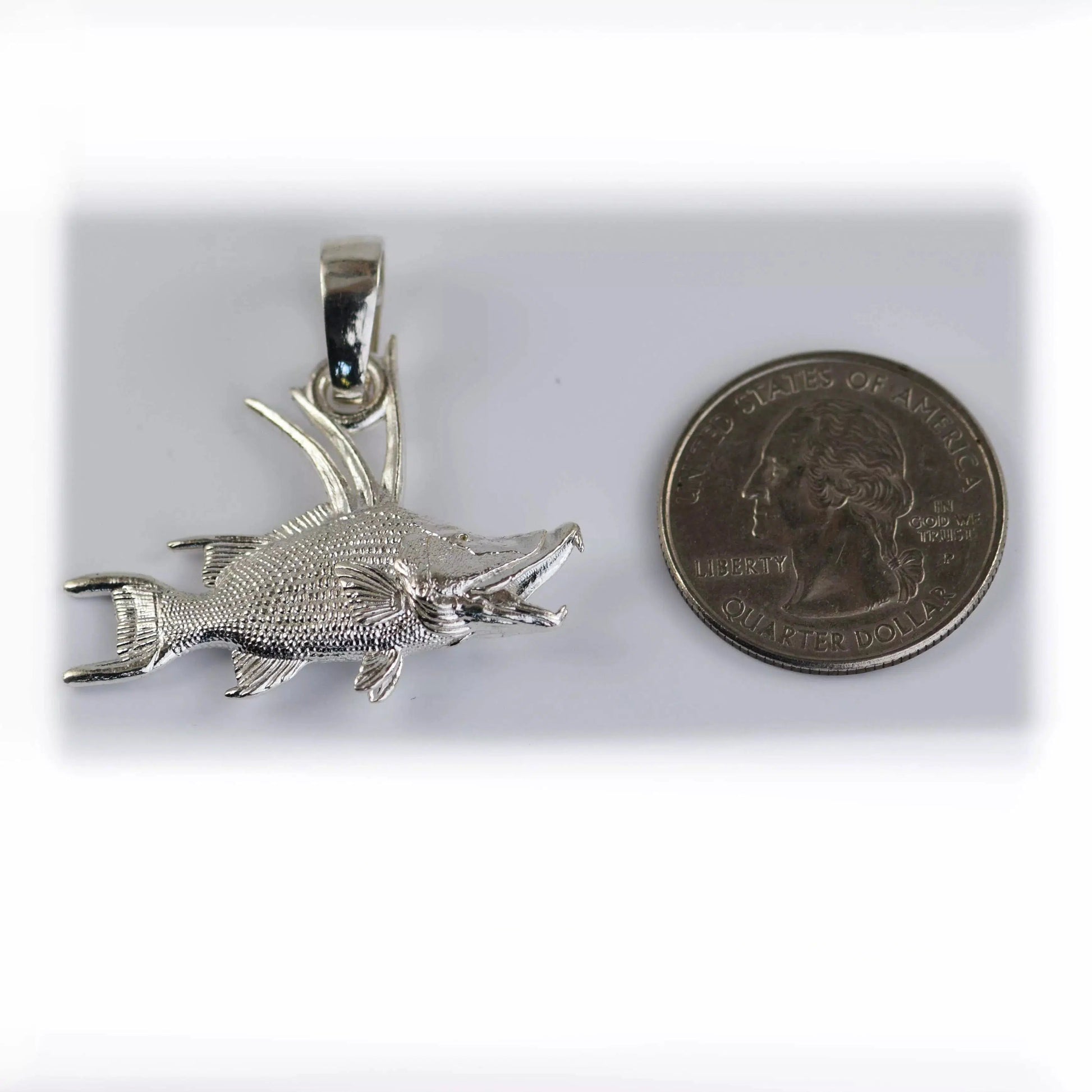 Hogfish Pendant - Medium