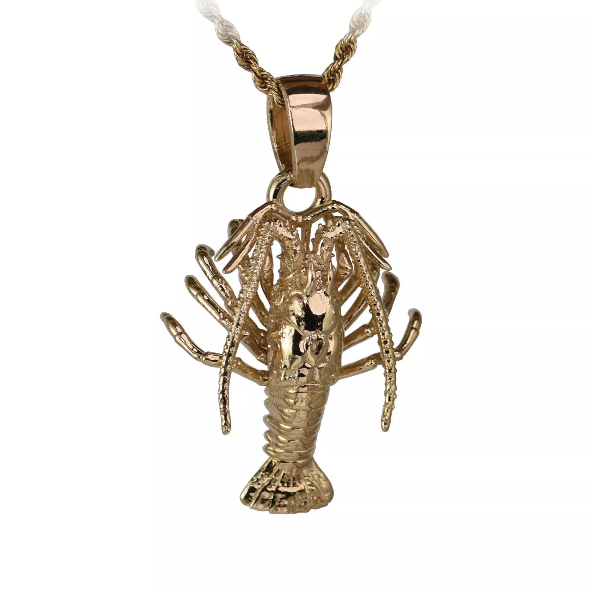 Spiny Florida Lobster - Small