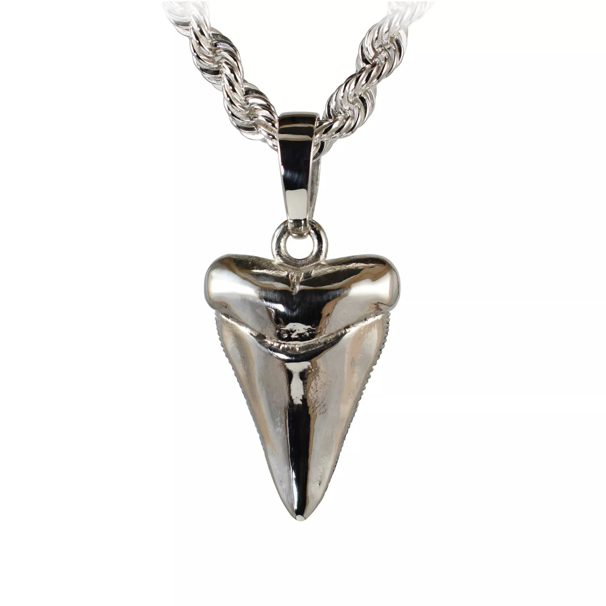 Shark Tooth Pendant Necklace